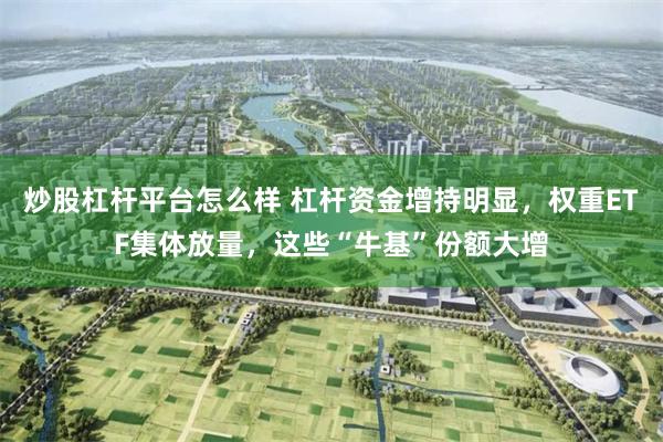 炒股杠杆平台怎么样 杠杆资金增持明显，权重ETF集体放量，这些“牛基”份额大增