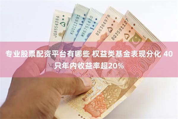 专业股票配资平台有哪些 权益类基金表现分化 40只年内收益率超20%
