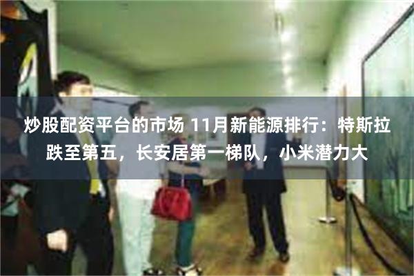 炒股配资平台的市场 11月新能源排行：特斯拉跌至第五，长安居第一梯队，小米潜力大