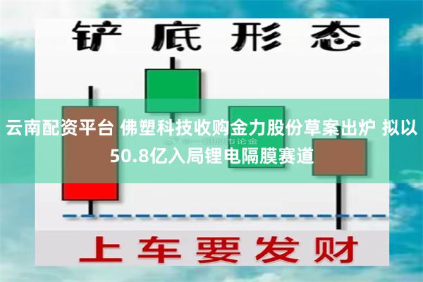 云南配资平台 佛塑科技收购金力股份草案出炉 拟以50.8亿入局锂电隔膜赛道