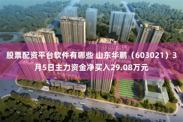 股票配资平台软件有哪些 山东华鹏（603021）3月5日主力资金净买入29.08万元