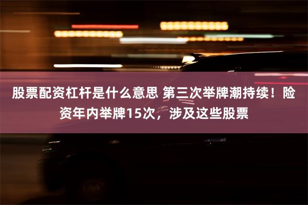 股票配资杠杆是什么意思 第三次举牌潮持续！险资年内举牌15次，涉及这些股票