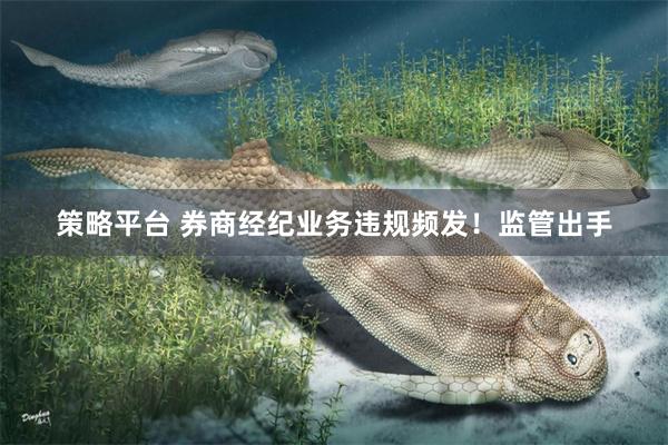 策略平台 券商经纪业务违规频发！监管出手