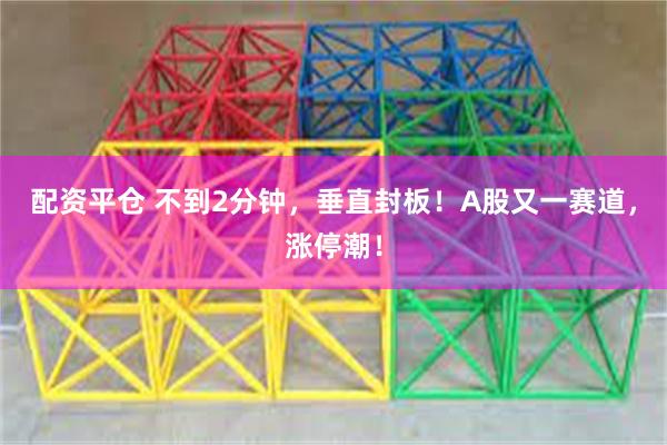 配资平仓 不到2分钟，垂直封板！A股又一赛道，涨停潮！