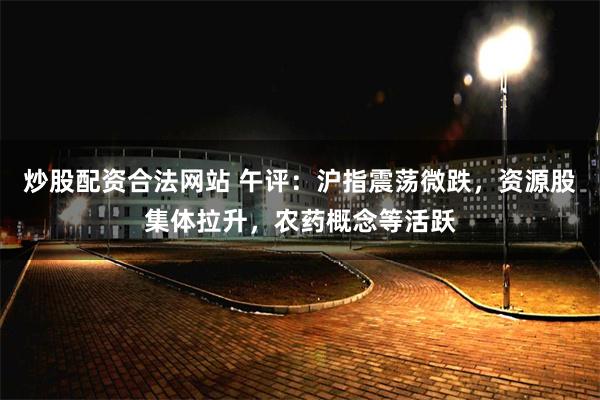 炒股配资合法网站 午评：沪指震荡微跌，资源股集体拉升，农药概念等活跃
