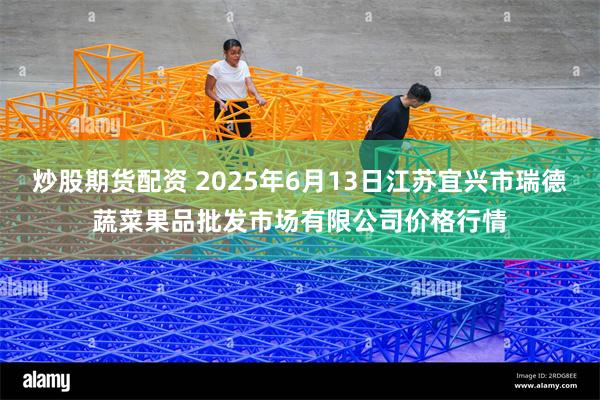 炒股期货配资 2025年6月13日江苏宜兴市瑞德蔬菜果品批发市场有限公司价格行情