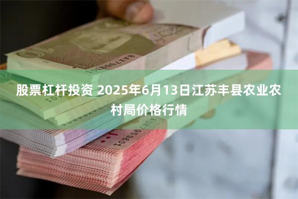 股票杠杆投资 2025年6月13日江苏丰县农业农村局价格行情