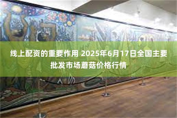 线上配资的重要作用 2025年6月17日全国主要批发市场蘑菇价格行情