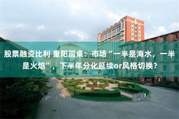 股票融资比利 重阳圆桌：市场“一半是海水，一半是火焰”，下半年分化延续or风格切换？