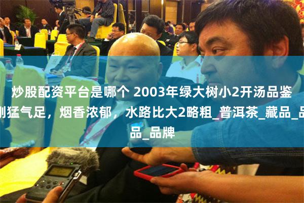 炒股配资平台是哪个 2003年绿大树小2开汤品鉴：刚猛气足，烟香浓郁，水路比大2略粗_普洱茶_藏品_品牌