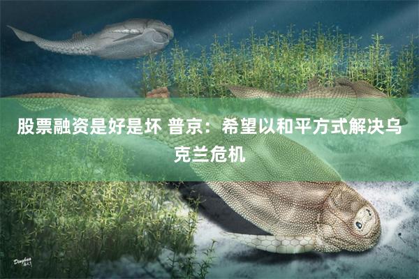 股票融资是好是坏 普京：希望以和平方式解决乌克兰危机