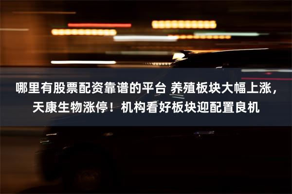 哪里有股票配资靠谱的平台 养殖板块大幅上涨，天康生物涨停！机构看好板块迎配置良机