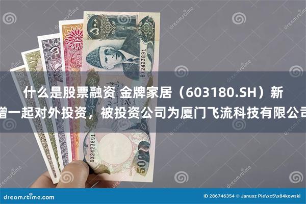 什么是股票融资 金牌家居（603180.SH）新增一起对外投资，被投资公司为厦门飞流科技有限公司